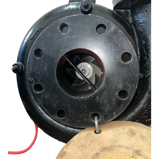 Grundfos Paco Pumps 11-30957-133P08 End Suction Pump - Image 5